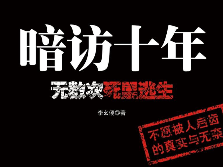 资源《【有声书】暗访十年》的海报