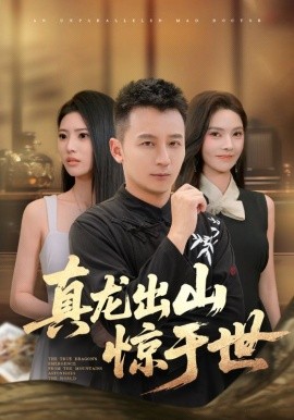 资源《真龙出山惊于世》的海报