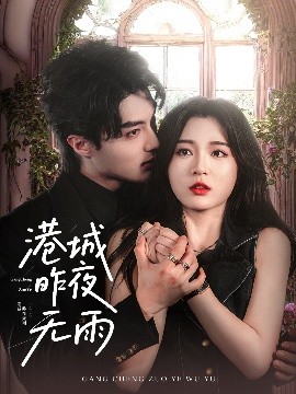 资源《港城昨夜无雨》的海报