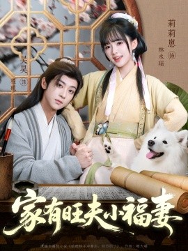 资源《家有旺夫小福妻》的海报