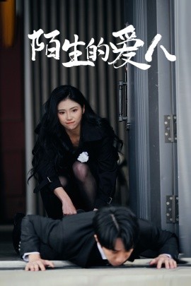 资源《陌生的爱人》的海报
