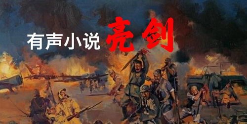 资源《多人广播战争剧《亮剑》》的海报