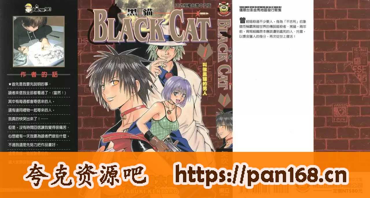 资源《《黑猫》漫画 20卷完 作者：矢吹健太朗[mobi]》的海报