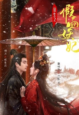 资源《双生之假面妖妃》的海报
