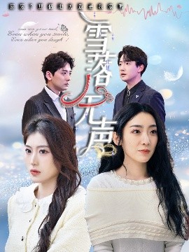 资源《雪落无声》的海报