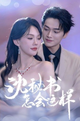 资源《沈秘书怎会这样》的海报
