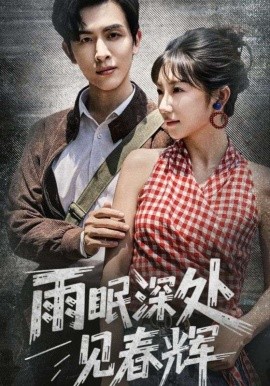 资源《雨眠深处见春辉》的海报