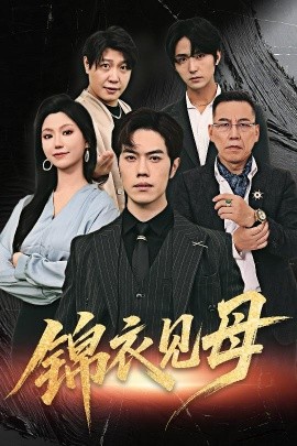 资源《锦衣见母》的海报