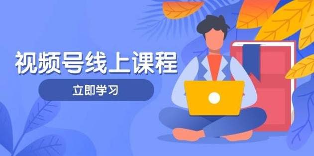 资源《视频号实战课程，轻IP打造与运营技巧，掌握核心方法与策略》的海报