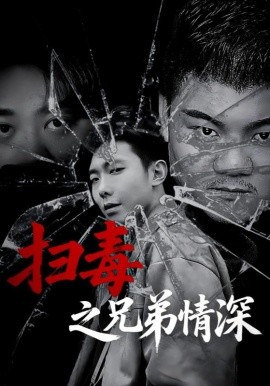 资源《扫毒之兄弟情深》的海报