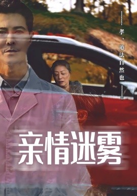资源《亲情迷雾》的海报