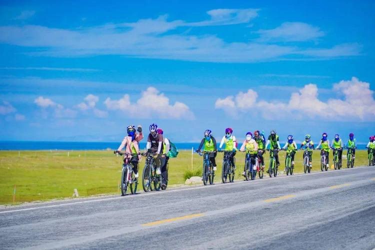 资源《《骑车游中国》彩图版 实用版骑车旅游指南 囊括中国经典...》的海报