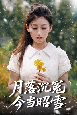 资源《月落沉冤今当昭雪》的海报