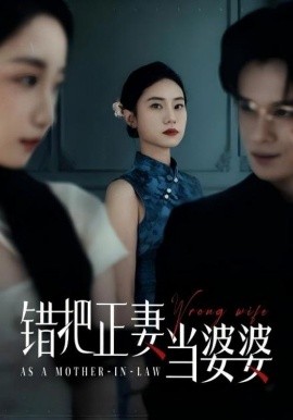 资源《错把正妻当婆婆》的海报