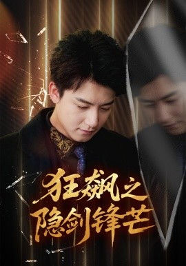 资源《狂飙之隐剑锋芒》的海报