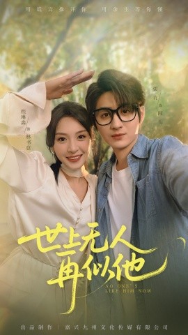 资源《世上无人再似他》的海报