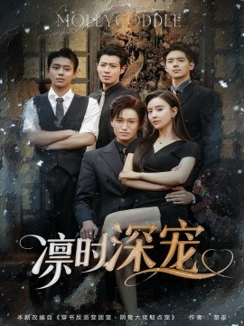 资源《凛时深宠》的海报
