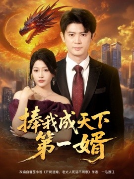 资源《捧我成天下第一婿》的海报