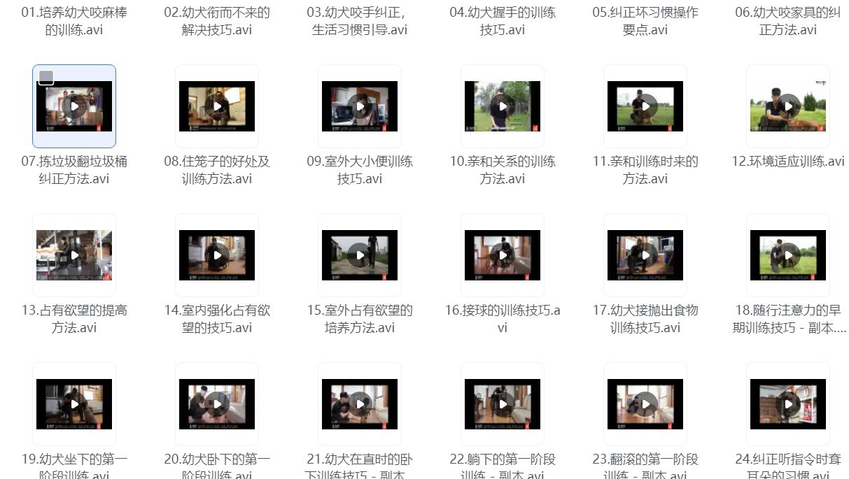 资源《专业驯狗师亲授  新手零基础宠物训练犬课程  原价18888》的海报