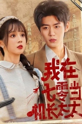 资源《我在七零当机长太太》的海报