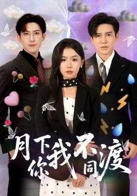 资源《月下你我不同渡》的海报