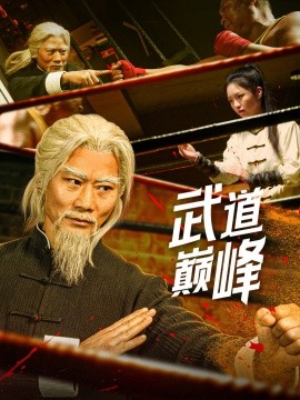 资源《武道巅峰》的海报