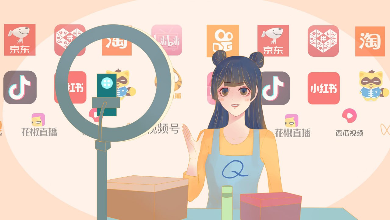 资源《2024年10月婉婉：直播带货流量训练营 52节视频课》的海报