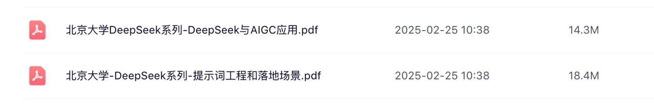 资源《北京大学DeepSeek系列》的海报