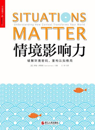 资源《情境影响力 [﻿人文社科] [pdf+全格式]》的海报