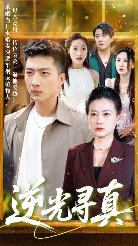 资源《逆光寻真》的海报