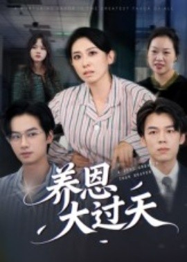 资源《养恩大过天》的海报