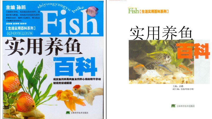 资源《《实用养鱼指南》观赏鱼饲养百科[pdf]》的海报