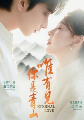 资源《唯有见你是青山》的海报