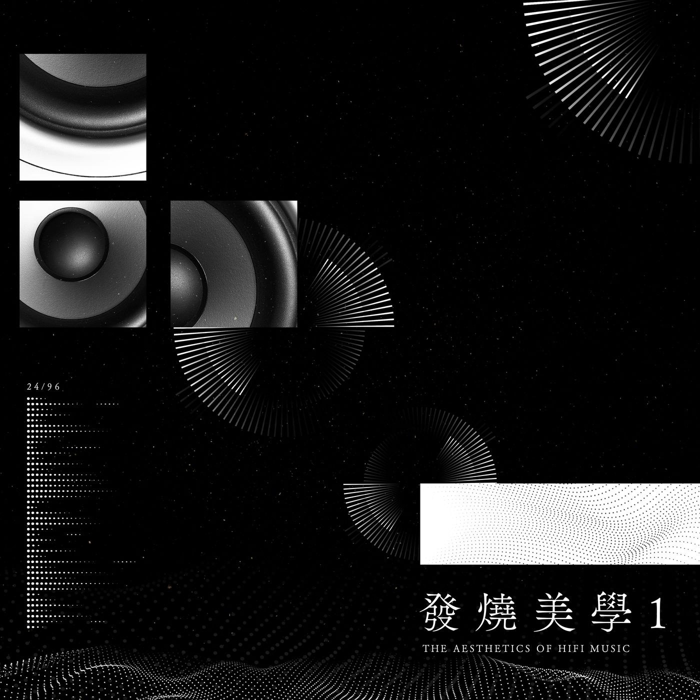 资源《群星-发烧美学 1 FLAC 96kHz 24bit qobuz》的海报