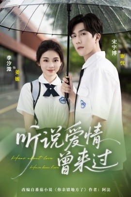 资源《听说爱情曾来过》的海报
