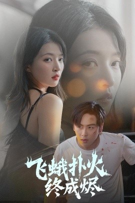 资源《飞蛾扑火终成烬》的海报