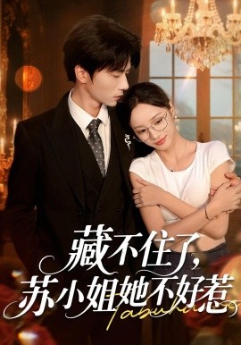 资源《藏不住了，苏小姐她不好惹》的海报