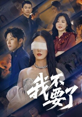 资源《我不要了》的海报