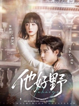 资源《他好野》的海报