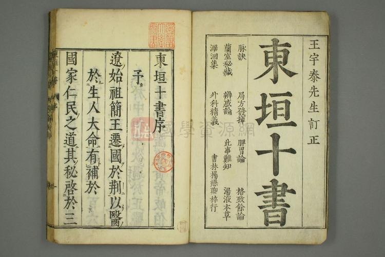 资源《东垣十书（1-20卷）》的海报