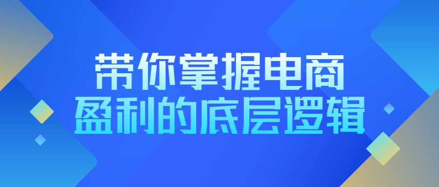 资源《带你掌握电商盈利的底层逻辑》的海报