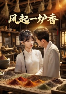资源《风起一炉香》的海报