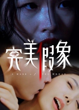 资源《完美假象》的海报