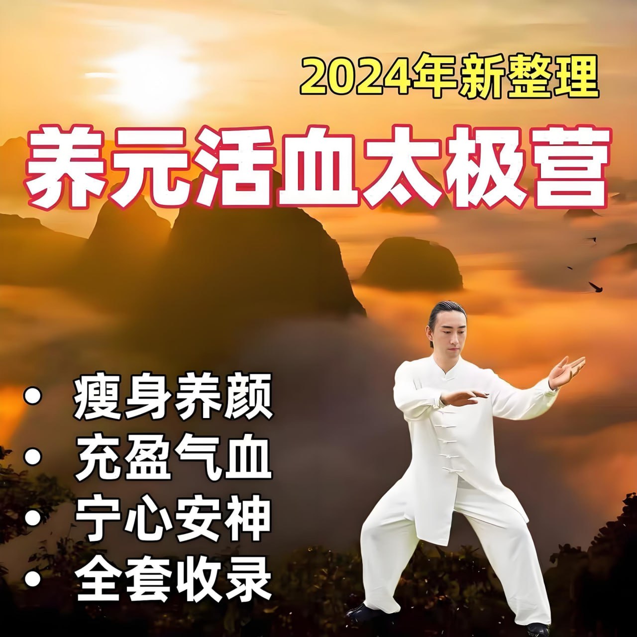 资源《李在峰《28天养元活血太极营 (2024全面升级版) 》》的海报