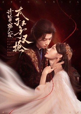 资源《请旨嫁人，后太子又争又抢》的海报