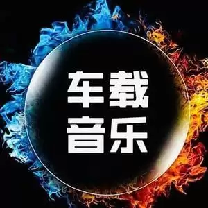 资源《车载音乐九头鸟2024贺岁私人订制龙年版本》的海报
