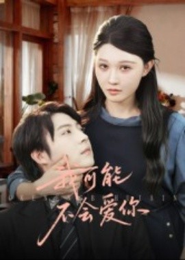 我可能不会爱你