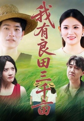 资源《我有良田三千亩》的海报