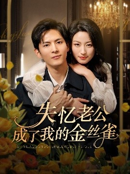 资源《失忆老公成了我的金丝雀》的海报