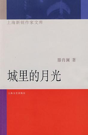 资源《城里的月光 [﻿小说文学] [pdf+全格式]》的海报